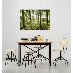 Komar Leinwandbild »Dänische Buchen - Größe 90 x 60 cm«, Baum-Blätter-Natur-Berge-Blumen-Foto-Jahreszeiten-Landschaft-Meer-Strand-Palmen, (Packung, 1 St.), Keilrahmenbild mi Echtholzrahmen Komar Farbe Bild(er): grün, braun, gelb