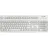 US hellgrau G83-6104LUNEU-0