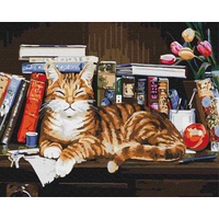 TISHIRON Malen nach Zahlen für Erwachsene Katze und Buch Vorgezeichnete Leinwand zum Malen Erwachsene Malen nach Zahlen Kits Tiere Malen nach Zahlen Basteln für Zuhause 40 x 50 cm(Rahmenlos)