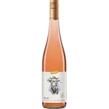 stefan j. schmitzer 2024 BIO