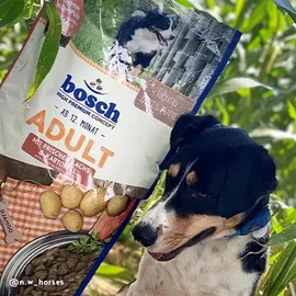Bosch Tiernahrung HPC Adult Lachs & Kartoffel 15 kg