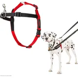 Company of Animals HALTI Front Control Anti-Zug Geschirr, Größe Mittel - Verhindert, dass Ihr Hund an der Leine zieht, Kontrollieren Sie Ihren Hund sanft über den Brustbereich, Einfache Anpassung und Benutzung