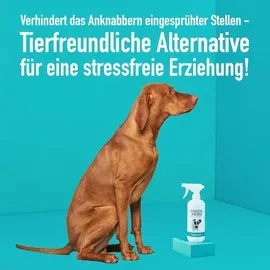 Green Hero Knabber-EX 500 ml Knabberstopp für Hund & Katze Anti Knabber & Ankauen von Möbeln Schuhen u.v.m. Bitterspray Anti Kau Spray Hund
