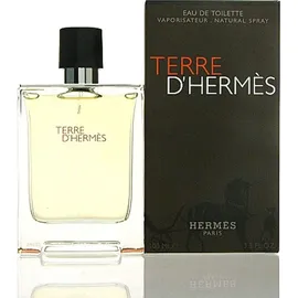 Hermès Terre d'Hermes Eau de Toilette 100 ml