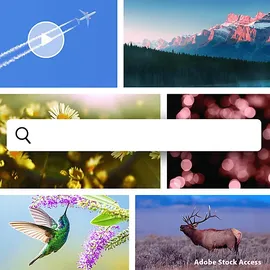 Adobe PHSP & PREM ELEMENTS 2026 3Y - [Multiplattform]