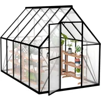 Froadp Gewächshaus aus Aluminium mit Fundament 280x180x195cm Gartengewächshäuser 4mm PC-Hohlkammerplatten Wetterfest Treibhaus, Tomatenhaus mit Fenstern Treibhaus für Garten & Aufzucht