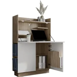 Vicco Schreibtischschrank Büroschrank Aktenschrank Computertisch Sekretär