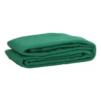 VidaXL Anhängernetz Grün 4x9 m HDPE