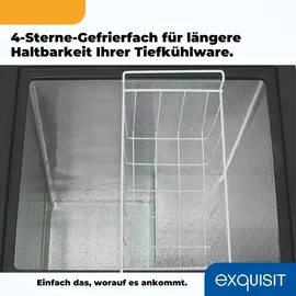 Exquisit Gefriertruhe, Kombigerät, 2-in-1, 99 Liter, Tiefkühltruhe, Kühlen, 4-Sterne-Gefrieren, Gefriertruhe klein, Gefrierkorb, GT100-050E schwarz