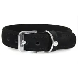 Das Lederband Hundehalsband Toronto, schwarz, 30 cm x 12 mm