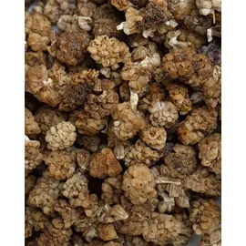 Buxtrade Weie Maulbeeren 5 kg Früchte