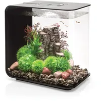 biOrb FLOW 30 LED, schwarz