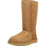 chestnut 38