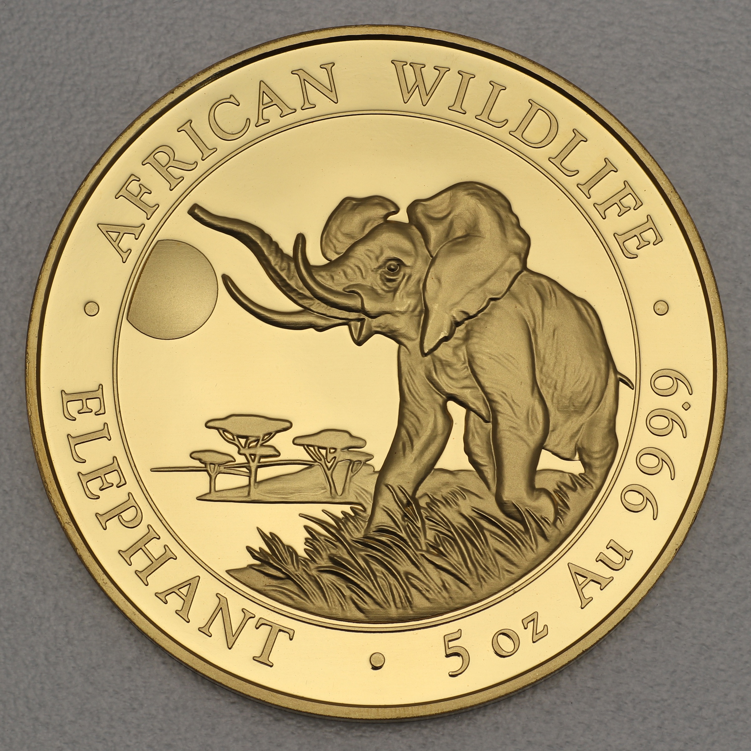 Goldmünze 5oz Somalia Elefant 2016