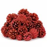 COM-FOUR® 18-teiliges Weihnachtsdekoration Zapfen Set - mit Rot Glitzer zum Dekorieren - Pinienzapfen - Kiefernzapfen Natur - Weihnachtsdeko Wald für Adventskranz (018-teilig - rot)