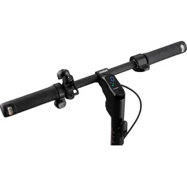 Segway Ninebot F2 D schwarz