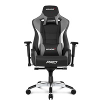 AKRacing Master Pro Gaming Chair grau / schwarz