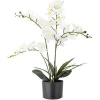 Bloomingville Künstliche Orchidee,