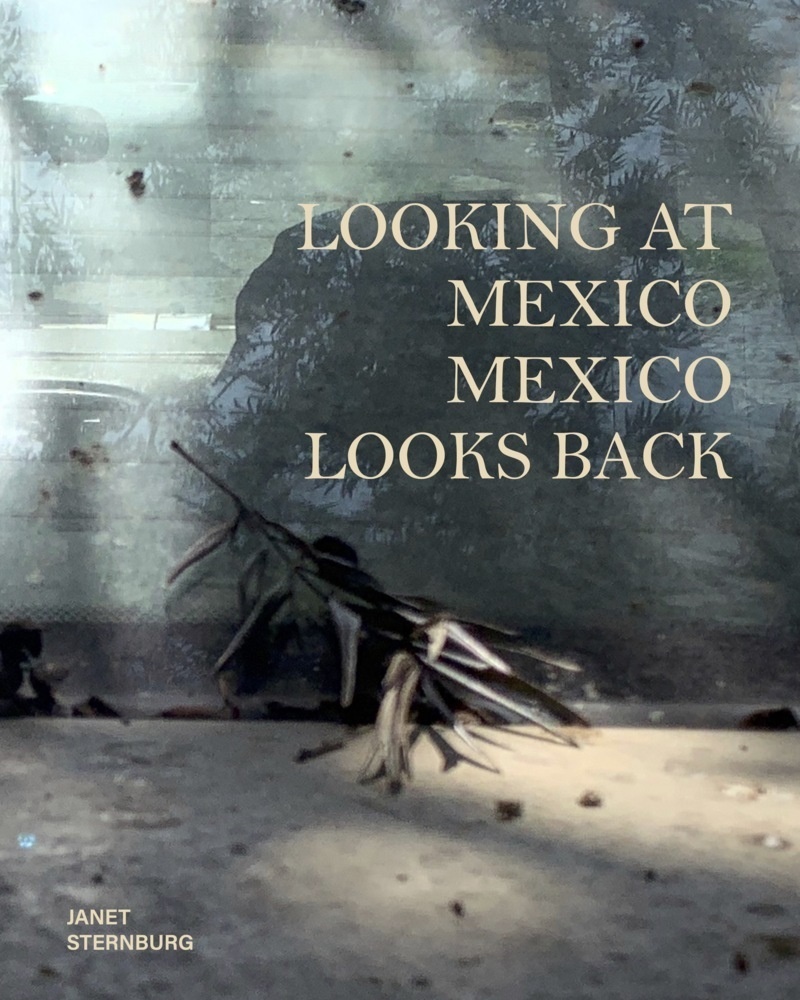 Looking At Mexico / Mexico Looks Back - Janet Sternburg  Gebunden