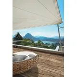 Terrassenplatte Feinsteinzeug Strobus 60 x 60 x 2 cm oak