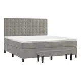 vidaXL Boxspringbett mit Matratze Hellgrau 160x200 cm Samt