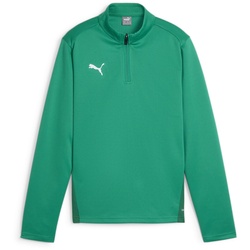 PUMA teamGOAL 1/4-Zip Trainings-Top Kinder 05 - sport green/puma white/power green 164