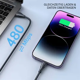 Joyroom USB-A auf Lightning 12 m Schwarz
