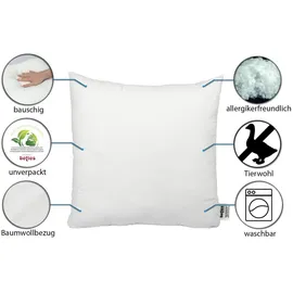 beties PublikFree Kopfkissen Ø 80 cm Kissenfüllung Allergiker-Kissen Allergikergeeignet Kissen Schlafkissen Weich Polyester-Faserbällchen Bezug 100, Baumwolle