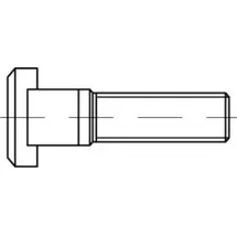 Industrial Quality Supplies T-Nutenschraube M8 x 32 25 Stück