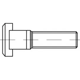 Industrial Quality Supplies T-Nutenschraube M8 x 32 25 Stück