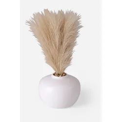 bonprix Kunstpflanze Pampasgras in Vase, beige, Onesize