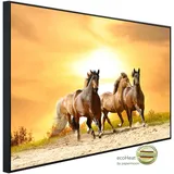 Papermoon Infrarotheizung Pferde laufen im Sonnenuntergang, sehr angenehme Strahlungswärme bunt