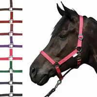 HKM 66145802 Halfter -Stars Economy, M, hellgrün