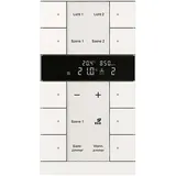 Busch-Jaeger Raumtemperaturregler SBC/U10.0.11-84 mit CO2/Feuchte-Sensor 10-fach