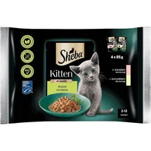 Sheba Kitten Nassfutter Lachs und Huhn 20 Beutel à 85 g