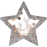 Star Trading LED-Dekostern Fauna 24 x 25 cm