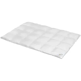 BettwarenShop BettwarenShop, Daunendecke Comfort extra warm, Füllung: 60% Daunen, 40% Federn 155x220 cm