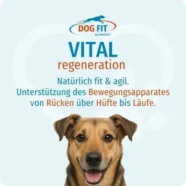 DOG FIT by PreThis DOG FIT VITAL Regeneration für Hunde 60 Kapseln