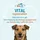 DOG FIT by PreThis DOG FIT VITAL Regeneration für Hunde 60 Kapseln