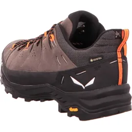 Salewa Alp Trainer 2 GTX Herren Bungee Cord/Black 46