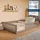 Kids Collective Jugendbett Bodenbett 140 x 200 cm Kiefer massiv braun Milchschokolade