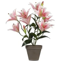 Mica decorations Mica Kunstpflanze Tigerlilie rosa, 47 x 45 cm