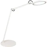 Fabas Luce Regina Weiß