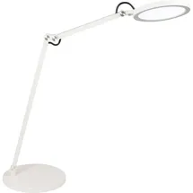 Fabas Luce Regina Weiß