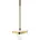 Hansgrohe Polished Gold Optic