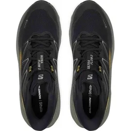 Salomon Ultra Flow 2 GTX Herren Black/Sedona Sage/Incaberry 42,6