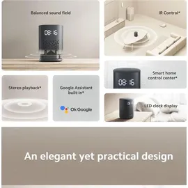 Xiaomi Smart Speaker (IR Control)