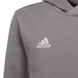 adidas Entrada 22 Sweatshirt Grau 116