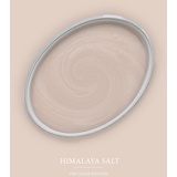 A.S. Création - Wandfarbe Beige Himalaya Salt 2,5L