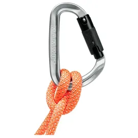 Mammut HMS-Karabiner Grau